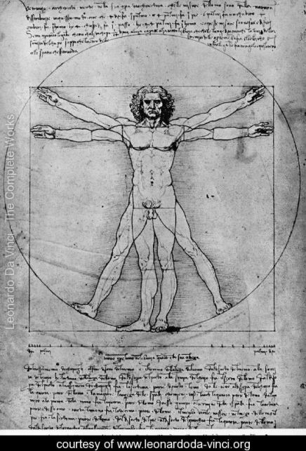 vitruvian-man
